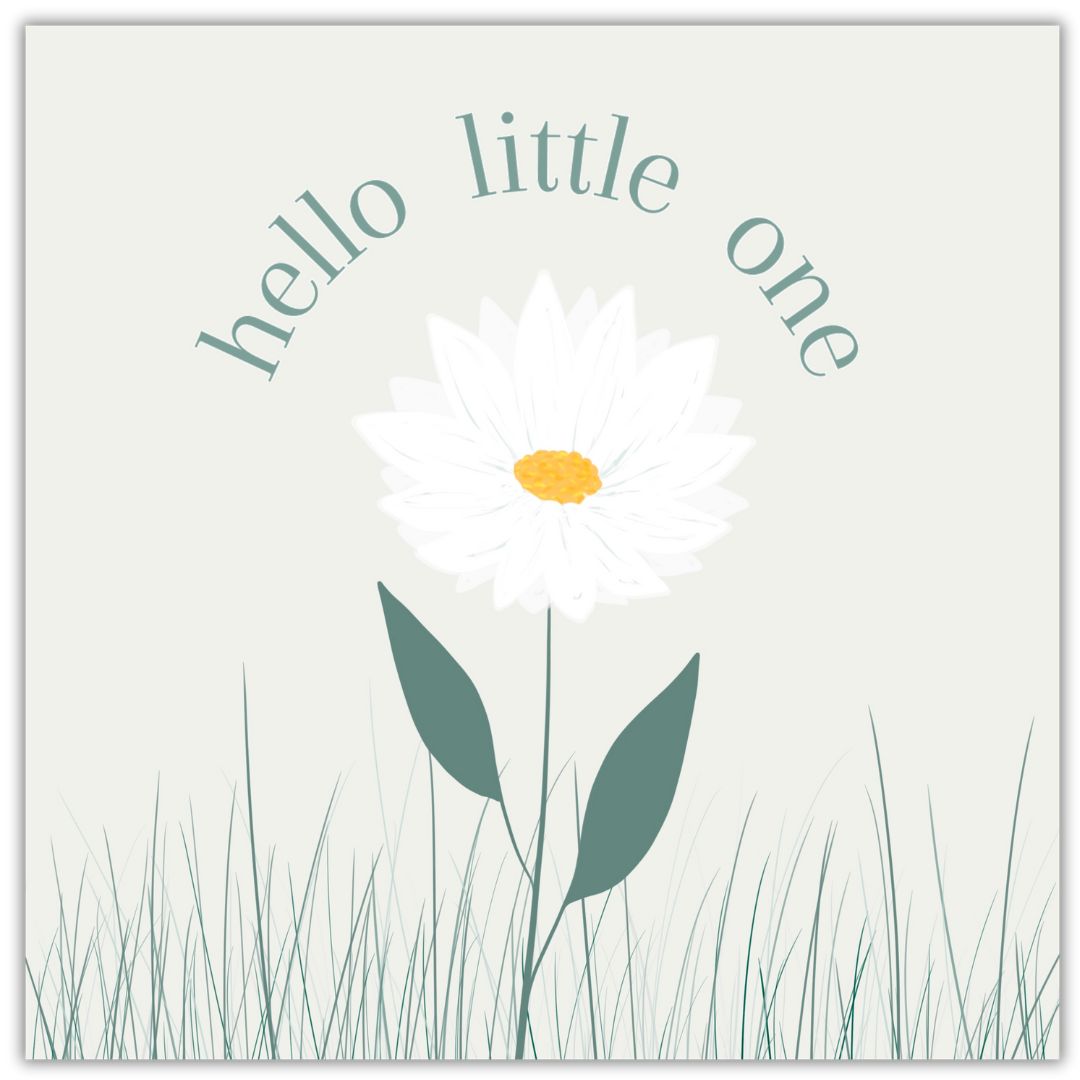 New baby bard with the words "Hello Little One" in a dark green font which form a semi-circle around the head of a daisy. The daisy is illustrated with white petals, and an orange centre. There are two big dark green leaves and little sprigs of grass growing around it. The background of the card is a faint soft green.