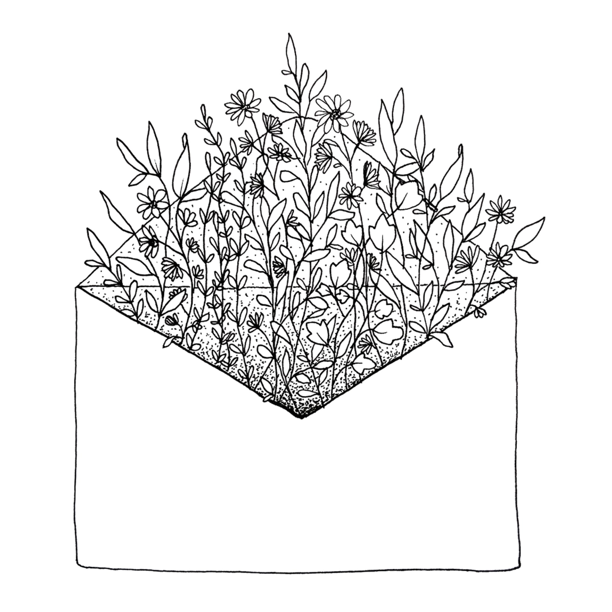 image shows plain background with open envelop illustration as floral arrangement growing out of it. Image is entirely black and white.