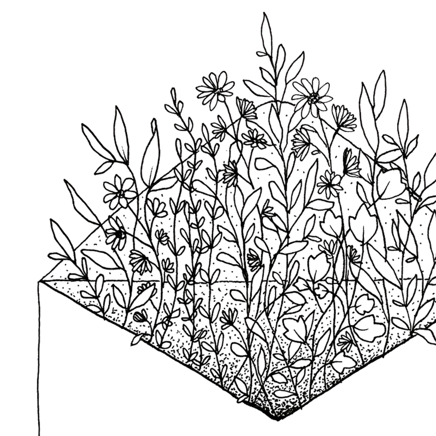 Image shows open envelop with floral arrangement coming out of it. Image is entirely black and white and shows great detail in the variety of flowers and dots drawn. 